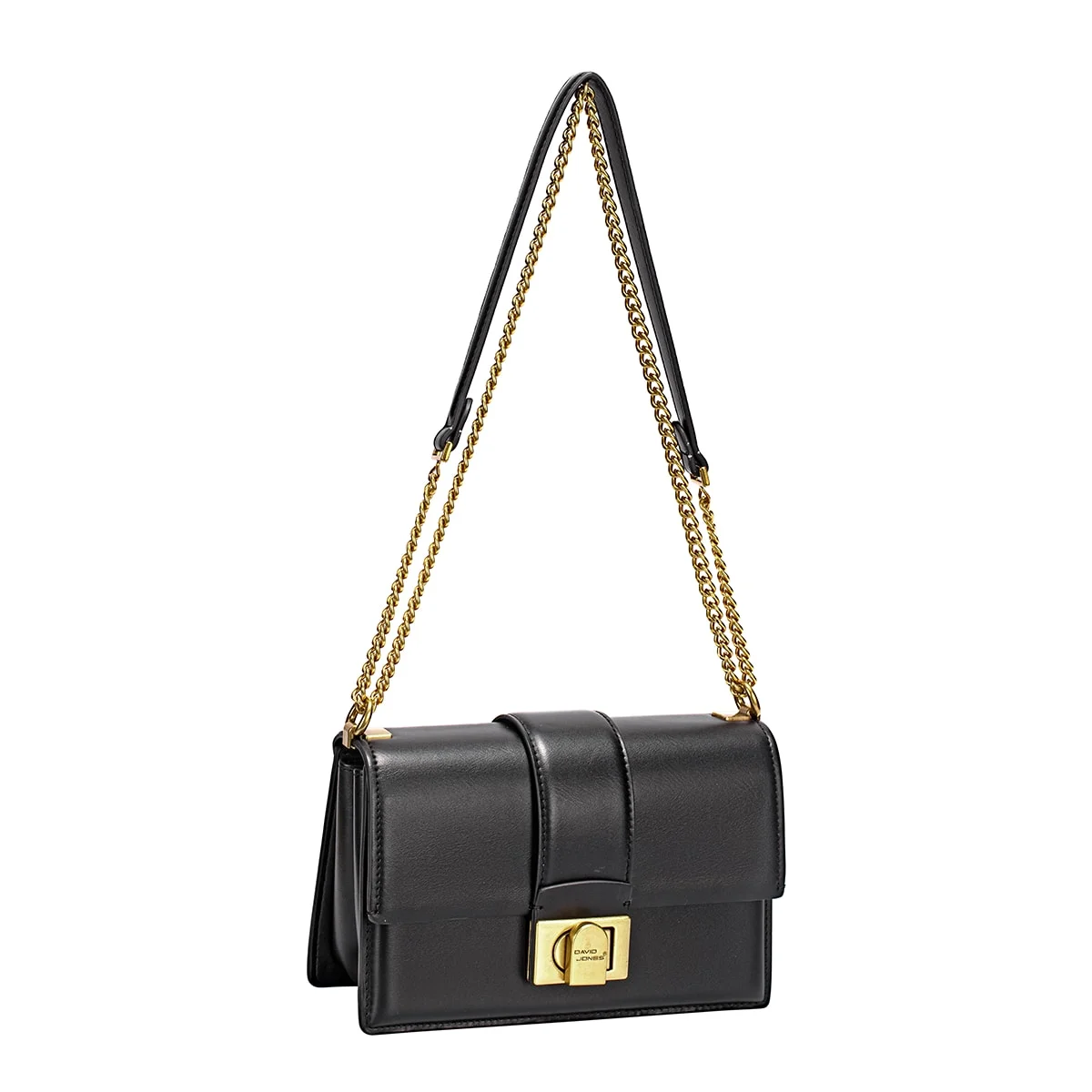 David Jones iBags
